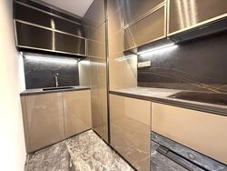 One Bernam (D2), Apartment #528932071
